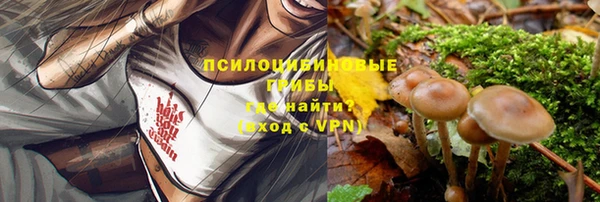 хмурый Нефтегорск