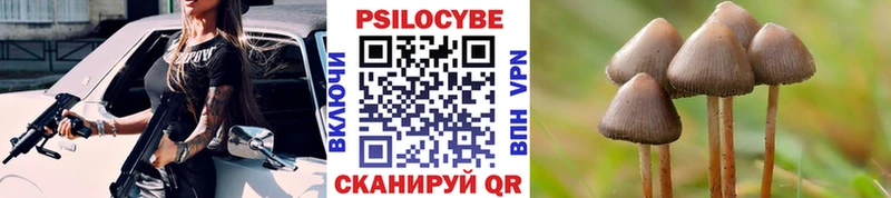 Галлюциногенные грибы GOLDEN TEACHER Рассказово